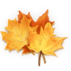 /Files/images/leaves.gif
