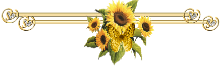 /Files/images/sunflowerdivider-1.gif